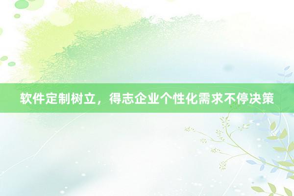 软件定制树立，得志企业个性化需求不停决策
